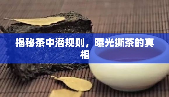 揭秘茶中潛規(guī)則，曝光撕茶的真相