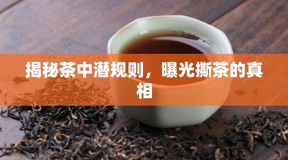 揭秘茶中潛規(guī)則，曝光撕茶的真相