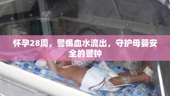 懷孕28周，警惕血水流出，守護(hù)母嬰安全的警鐘