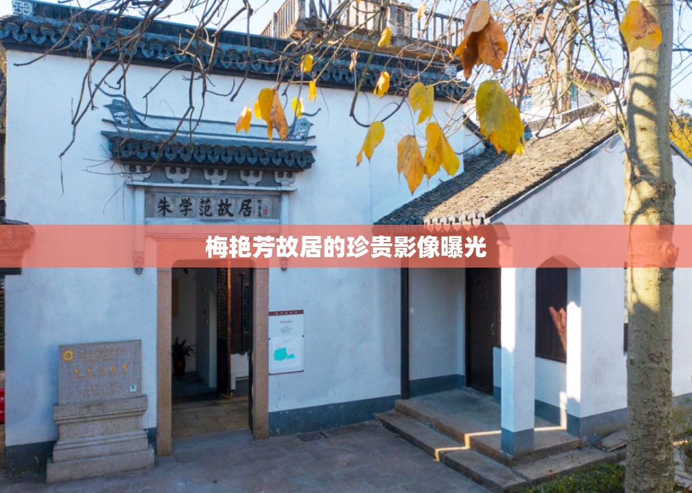 梅艷芳故居的珍貴影像曝光