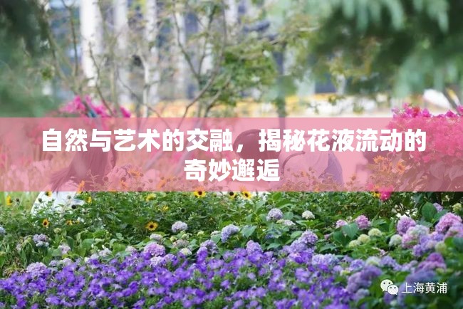 自然與藝術(shù)的交融，揭秘花液流動的奇妙邂逅