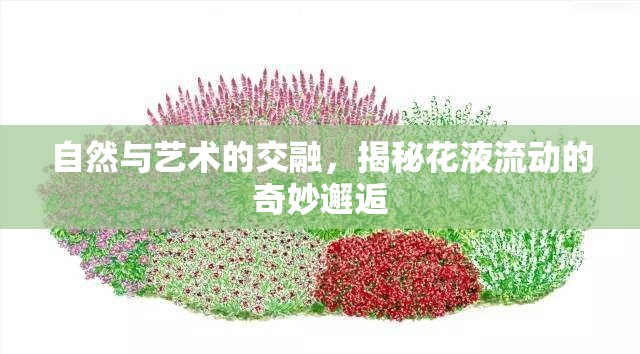 自然與藝術(shù)的交融，揭秘花液流動的奇妙邂逅