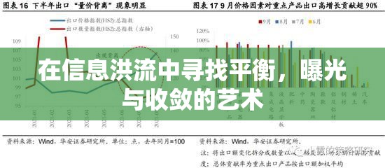 在信息洪流中尋找平衡，曝光與收斂的藝術(shù)