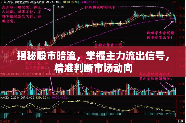揭秘股市暗流，掌握主力流出信號，精準判斷市場動向