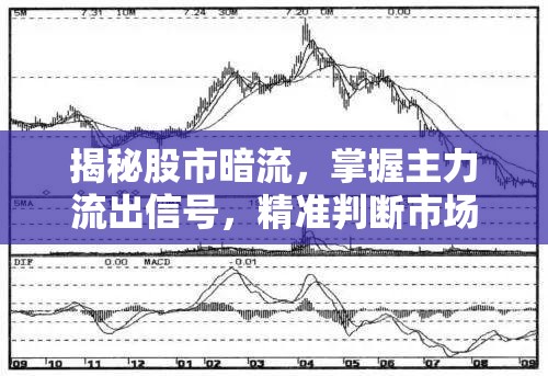 揭秘股市暗流，掌握主力流出信號，精準判斷市場動向