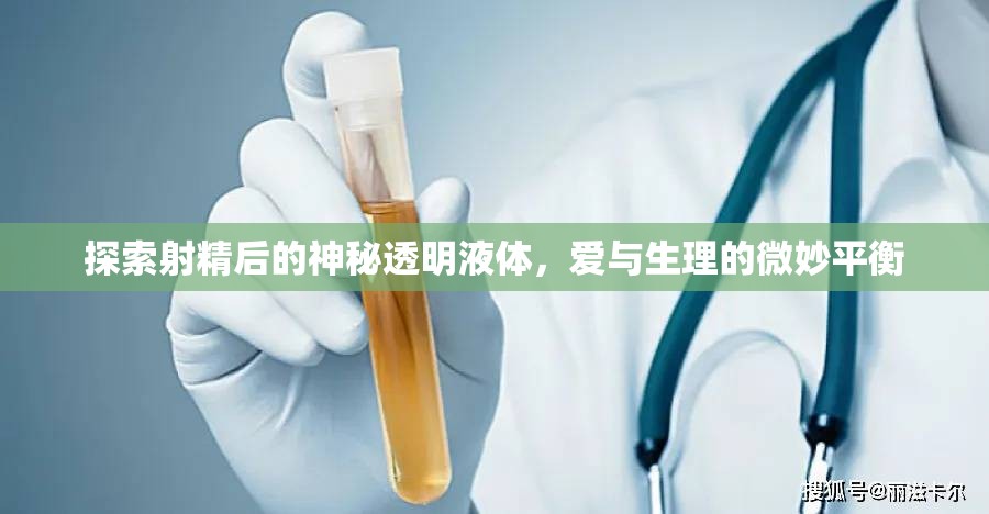 探索射精后的神秘透明液體，愛(ài)與生理的微妙平衡