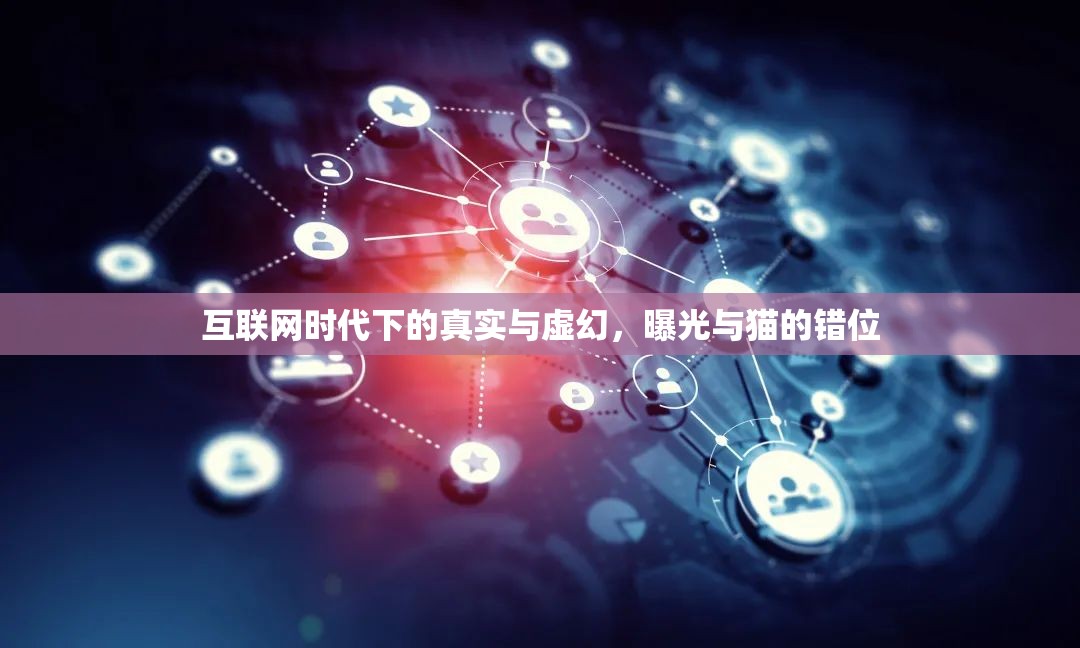互聯(lián)網(wǎng)時代下的真實與虛幻，曝光與貓的錯位