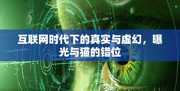 互聯(lián)網(wǎng)時代下的真實與虛幻，曝光與貓的錯位