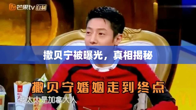 撒貝寧被曝光，真相揭秘