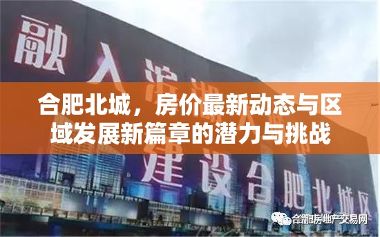 合肥北城，房價最新動態(tài)與區(qū)域發(fā)展新篇章的潛力與挑戰(zhàn)