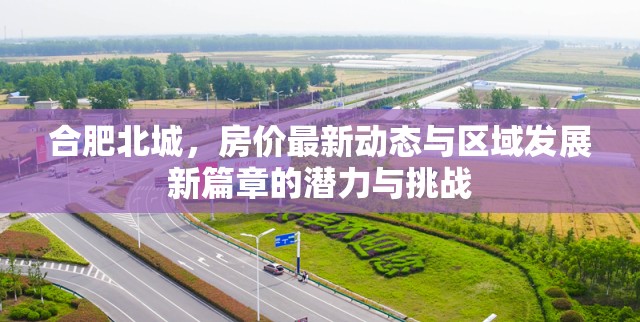 合肥北城，房價最新動態(tài)與區(qū)域發(fā)展新篇章的潛力與挑戰(zhàn)