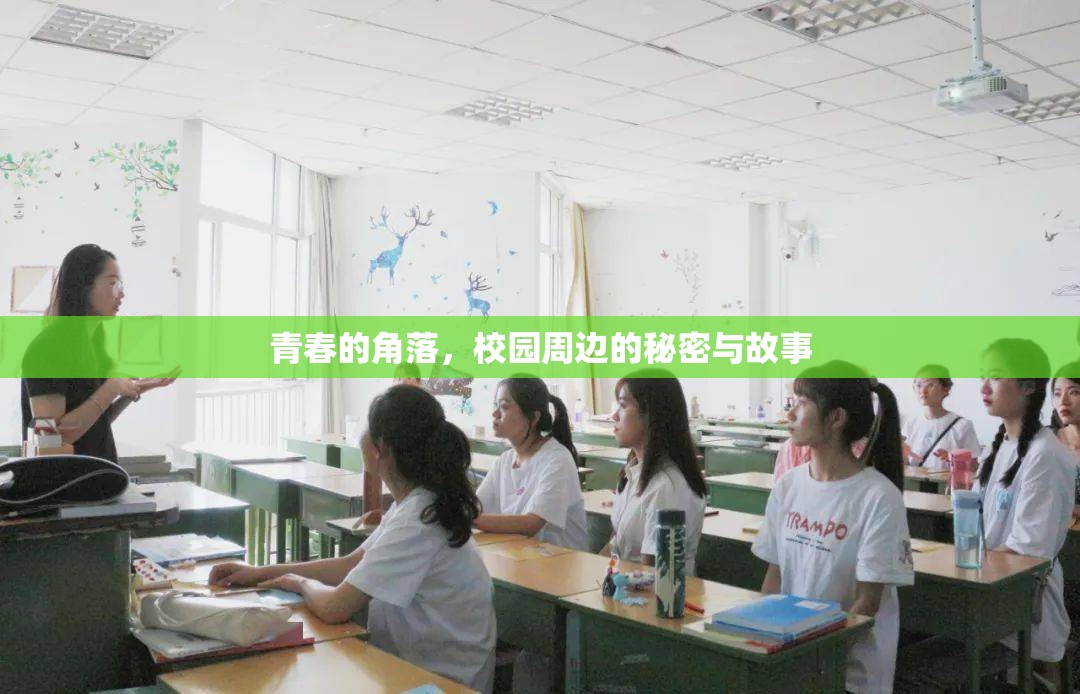 青春的角落，校園周邊的秘密與故事