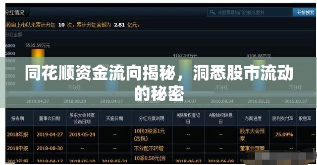 同花順資金流向揭秘，洞悉股市流動(dòng)的秘密