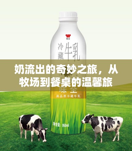 奶流出的奇妙之旅，從牧場到餐桌的溫馨旅程