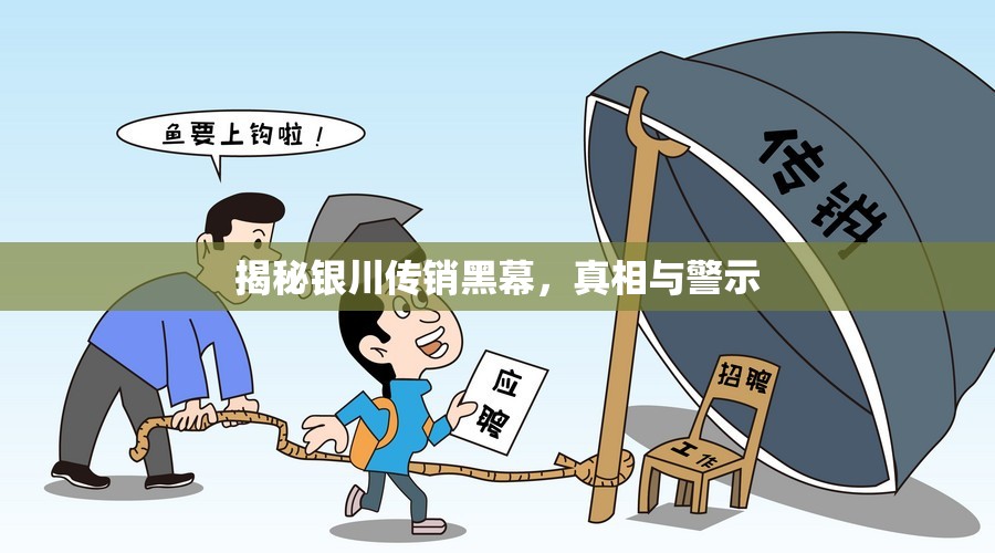 揭秘銀川傳銷黑幕，真相與警示