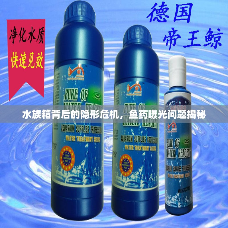 水族箱背后的隱形危機(jī)，魚藥曝光問題揭秘