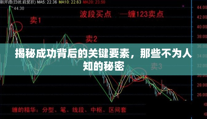 揭秘成功背后的關(guān)鍵要素，那些不為人知的秘密