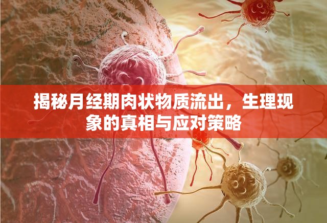 揭秘月經(jīng)期肉狀物質(zhì)流出，生理現(xiàn)象的真相與應(yīng)對策略