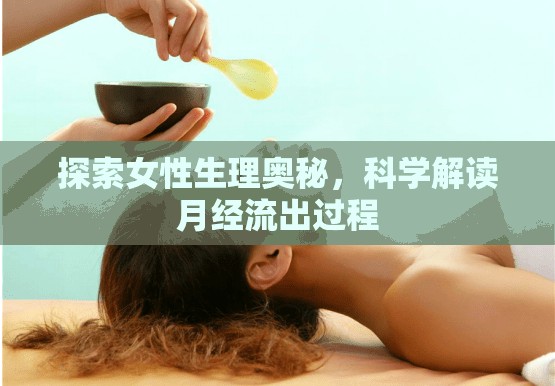 探索女性生理奧秘，科學(xué)解讀月經(jīng)流出過(guò)程