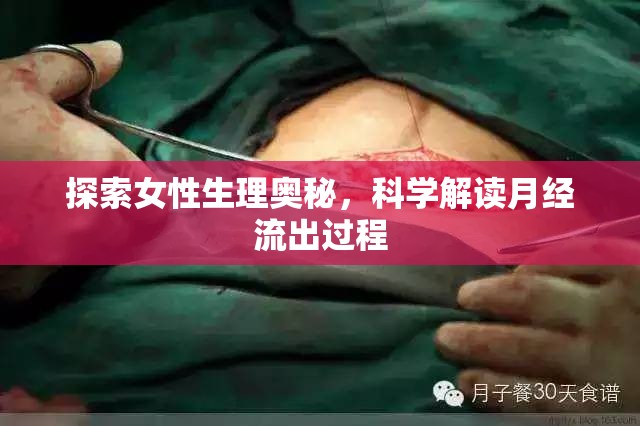 探索女性生理奧秘，科學(xué)解讀月經(jīng)流出過(guò)程