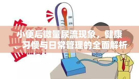 小便后微量尿流現(xiàn)象，健康、習慣與日常管理的全面解析