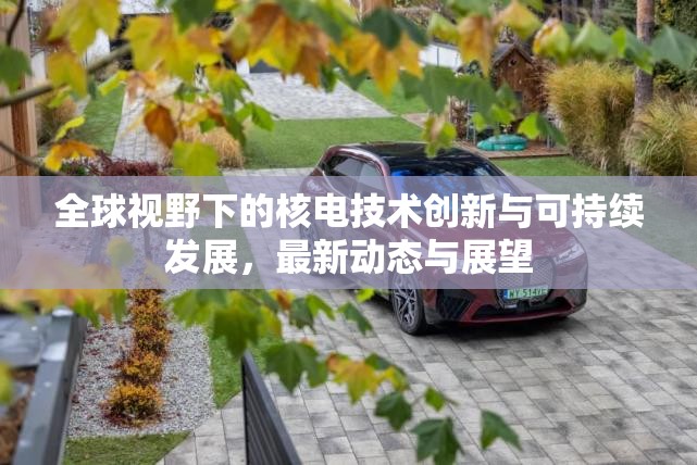 全球視野下的核電技術(shù)創(chuàng)新與可持續(xù)發(fā)展，最新動(dòng)態(tài)與展望