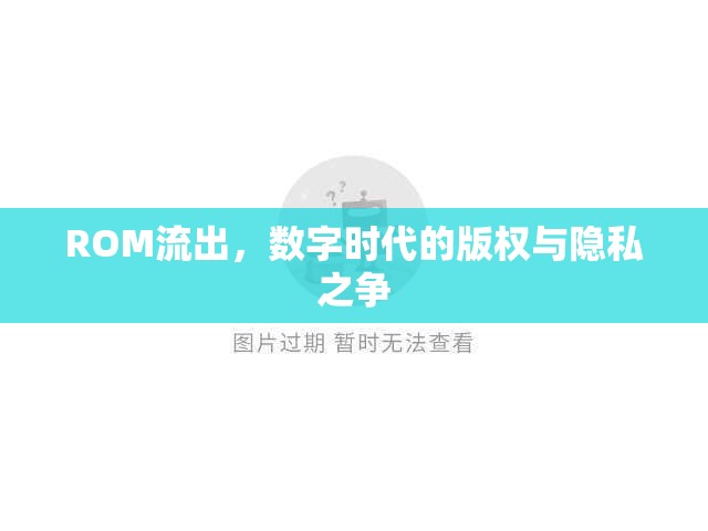 ROM流出，數(shù)字時代的版權(quán)與隱私之爭