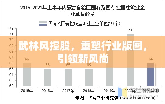 武林風(fēng)控股，重塑行業(yè)版圖，引領(lǐng)新風(fēng)尚
