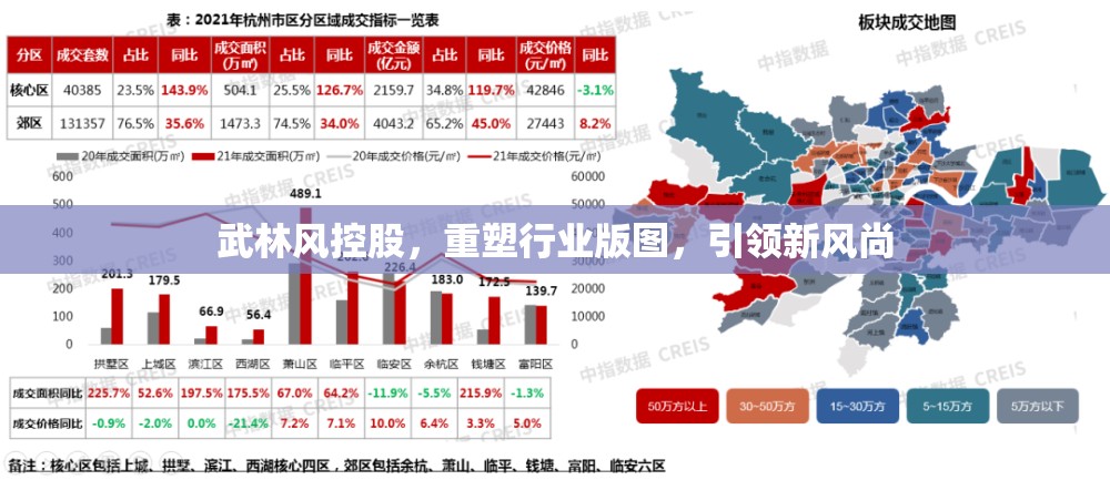 武林風(fēng)控股，重塑行業(yè)版圖，引領(lǐng)新風(fēng)尚