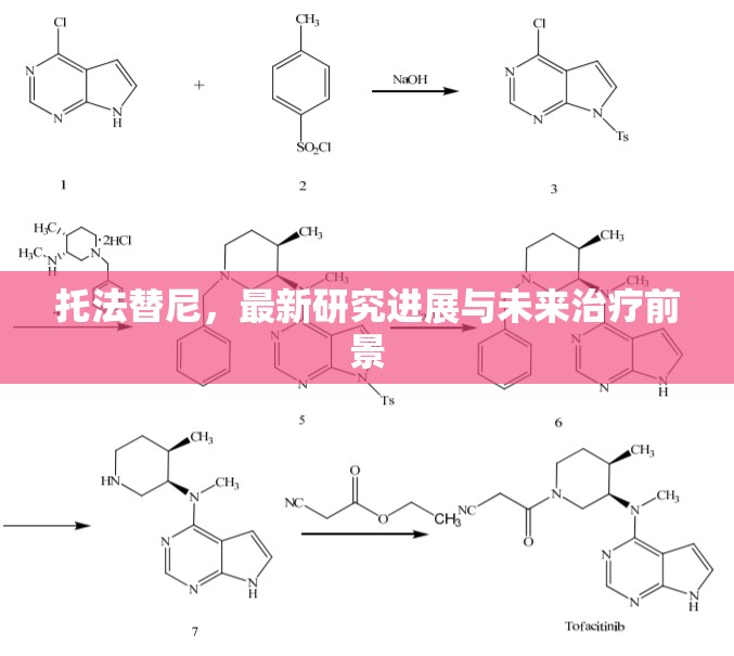 托法替尼，最新研究進展與未來治療前景