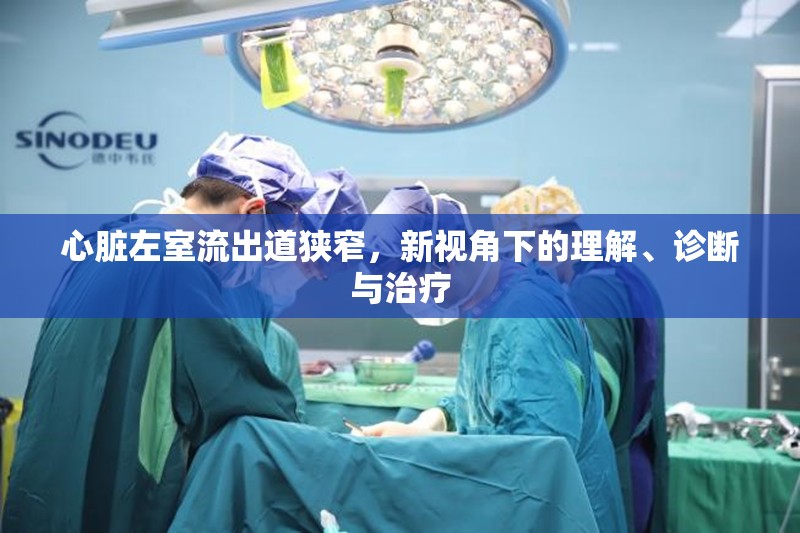 心臟左室流出道狹窄，新視角下的理解、診斷與治療