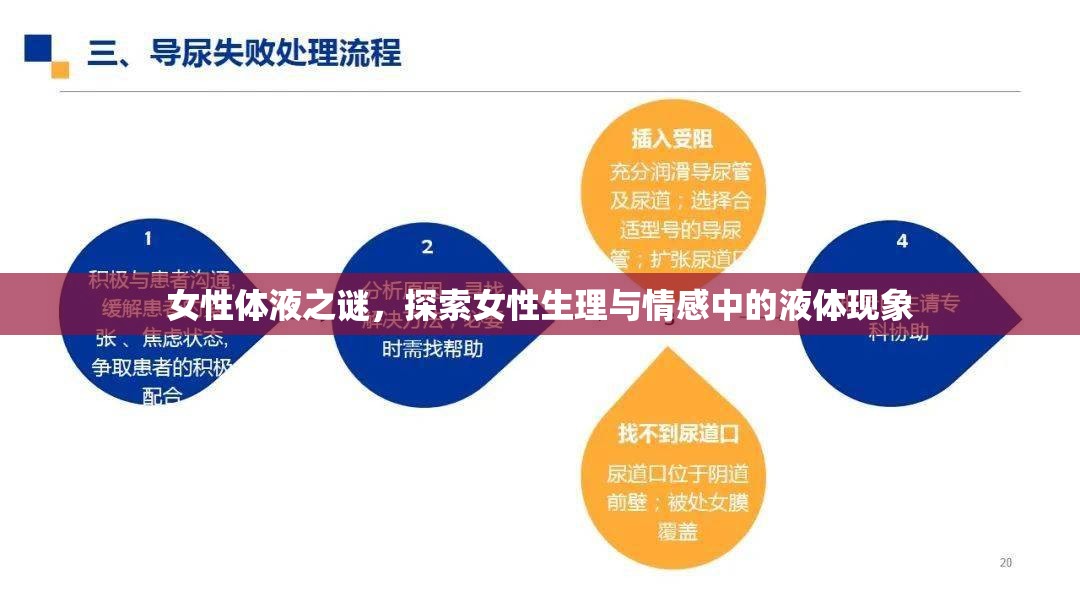 女性體液之謎，探索女性生理與情感中的液體現(xiàn)象