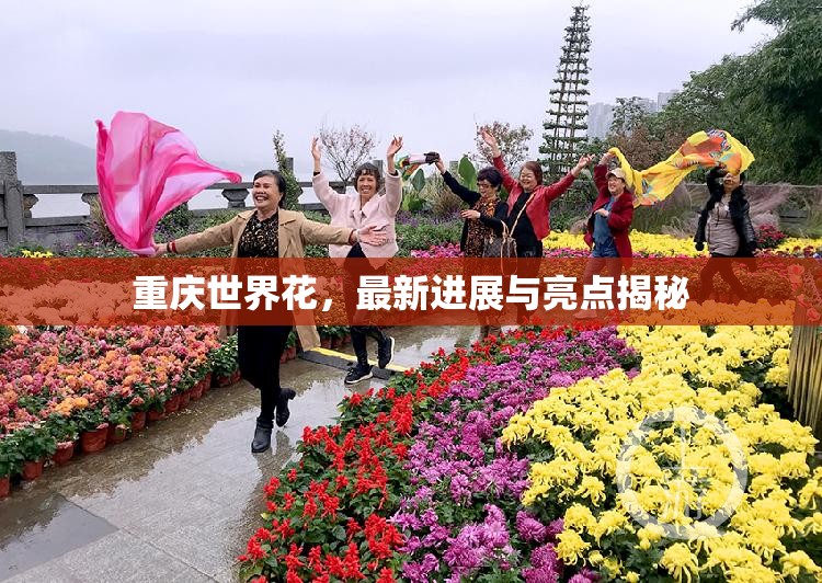 重慶世界花，最新進展與亮點揭秘