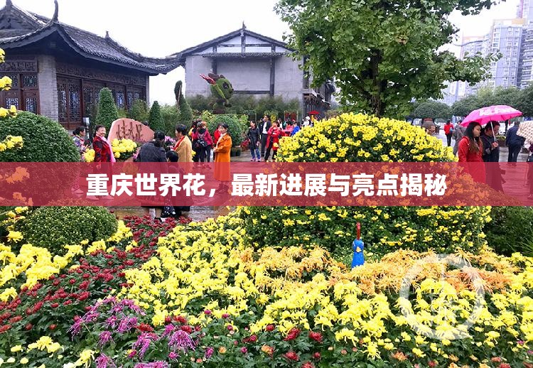 重慶世界花，最新進展與亮點揭秘