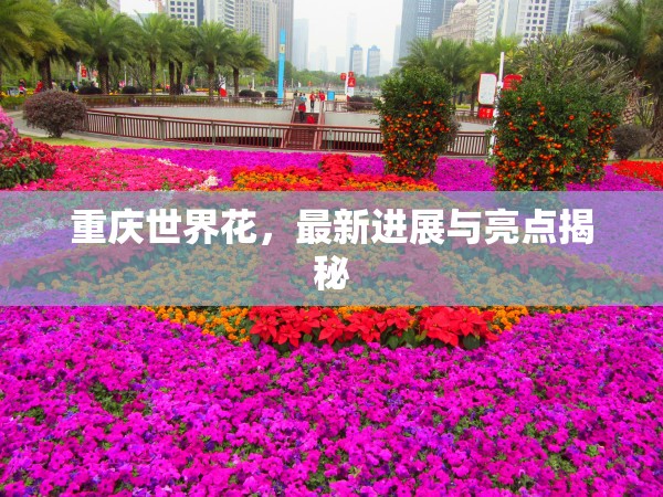 重慶世界花，最新進展與亮點揭秘