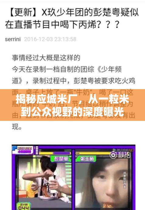 揭秘應(yīng)城米廠，從一粒米到公眾視野的深度曝光