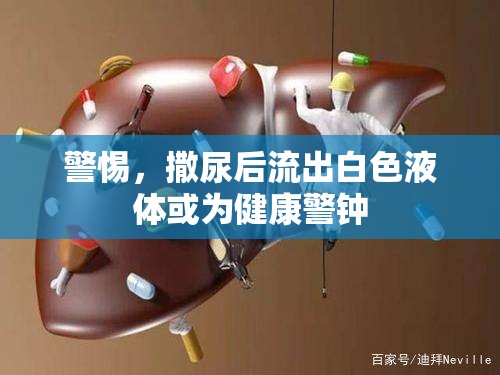 警惕，撒尿后流出白色液體或為健康警鐘