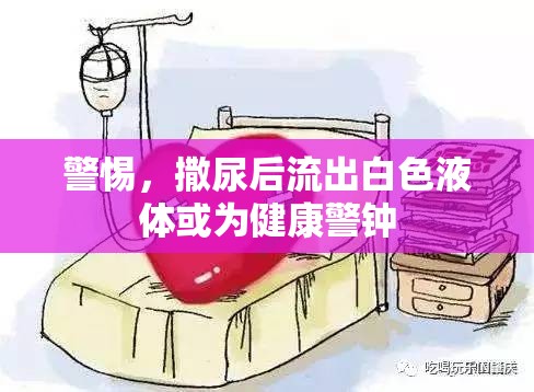 警惕，撒尿后流出白色液體或為健康警鐘
