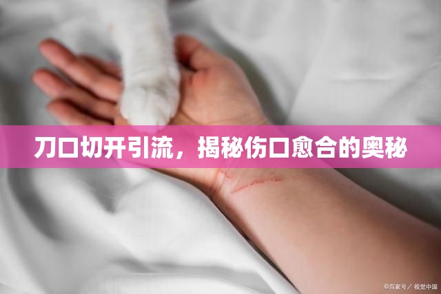 刀口切開引流，揭秘傷口愈合的奧秘