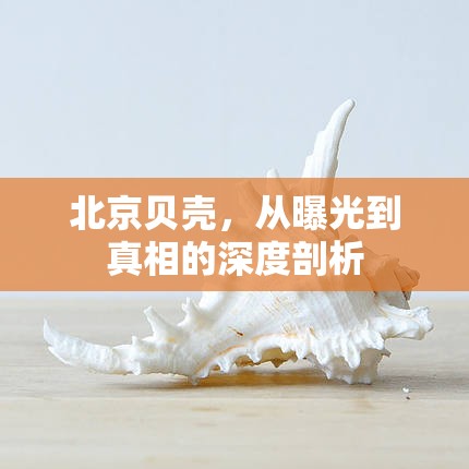 北京貝殼，從曝光到真相的深度剖析