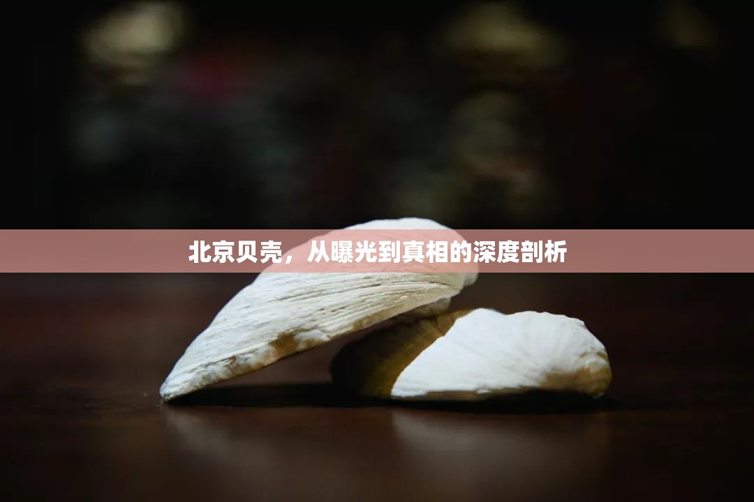 北京貝殼，從曝光到真相的深度剖析