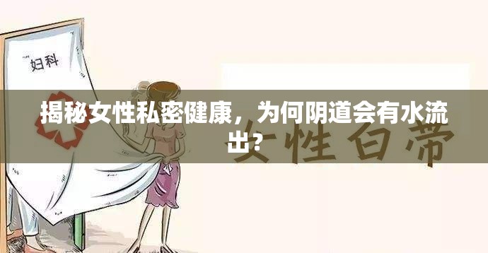 揭秘女性私密健康，為何陰道會有水流出？