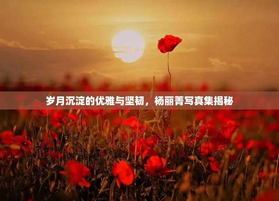 歲月沉淀的優(yōu)雅與堅(jiān)韌，楊麗菁寫(xiě)真集揭秘