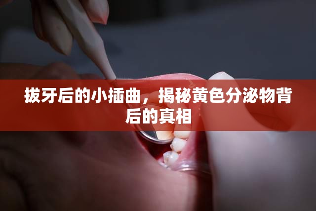 拔牙后的小插曲，揭秘黃色分泌物背后的真相