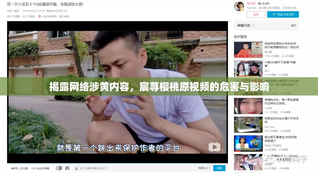 揭露網(wǎng)絡(luò)涉黃內(nèi)容，宸蕁櫻桃原視頻的危害與影響