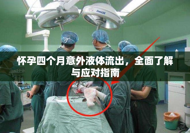 懷孕四個月意外液體流出，全面了解與應(yīng)對指南
