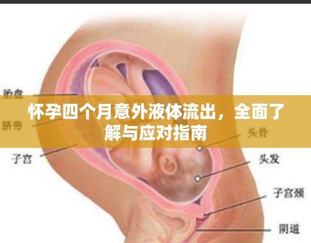 懷孕四個月意外液體流出，全面了解與應(yīng)對指南