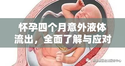 懷孕四個月意外液體流出，全面了解與應(yīng)對指南