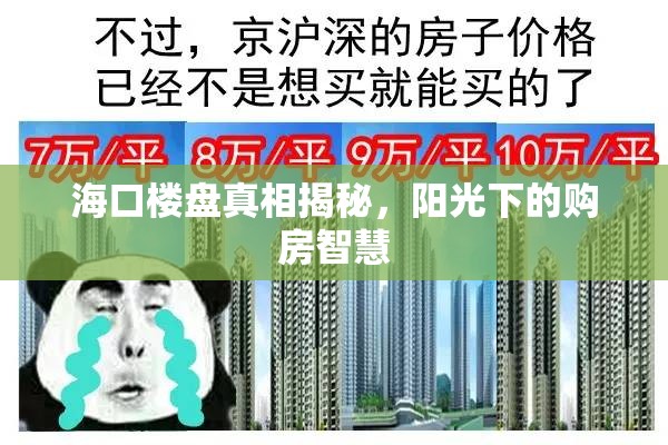 ?？跇潜P真相揭秘，陽光下的購房智慧