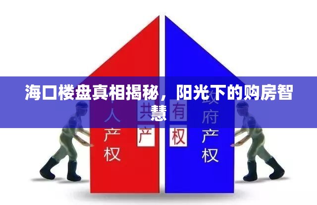 ?？跇潜P真相揭秘，陽光下的購房智慧